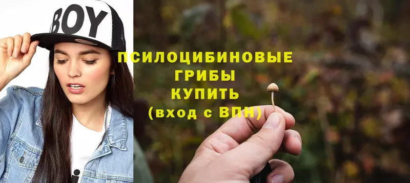 Галлюциногенные грибы Cubensis  блэк спрут ТОР  Липки 